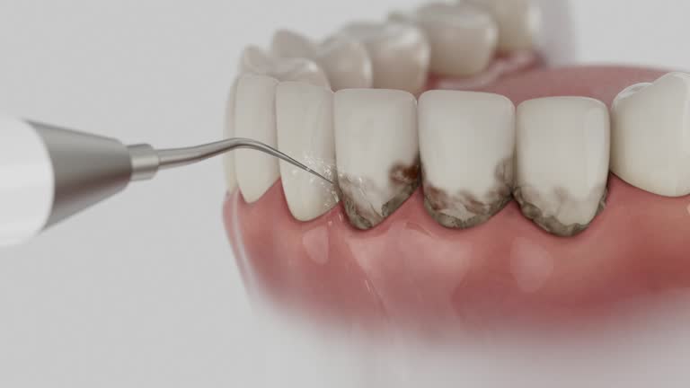 Reliable Dental contractor in Wilson, NC by Dentist Open Now